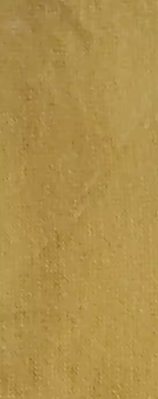 گل ماشی 2220