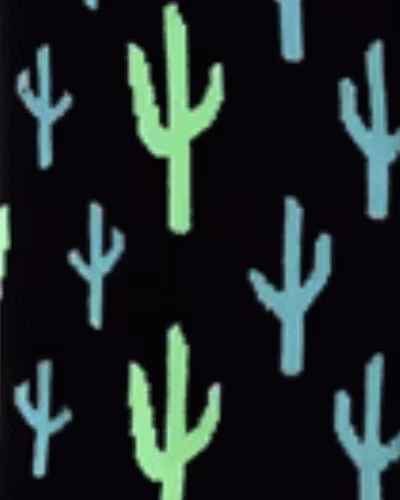 مشکی-طرح-کاکتوس