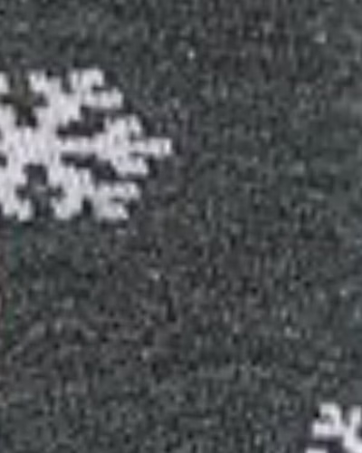 طوسی دونه برفی