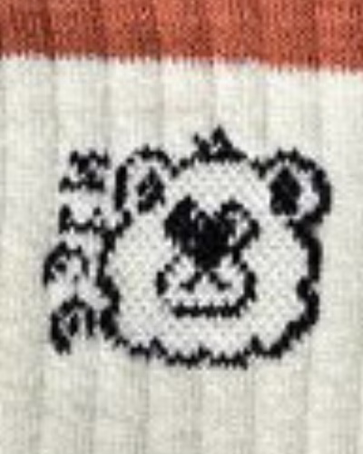 کرم شیری خرس