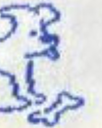 سفید طرح سگ